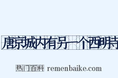 唐京城内有另一个西明寺是什么意思的图片